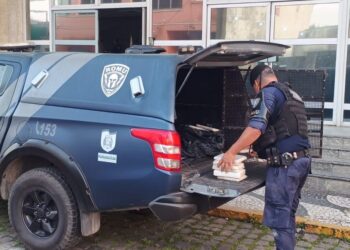 Foto: Comunicação GCM 