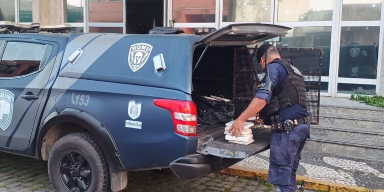 Foto: Comunicação GCM