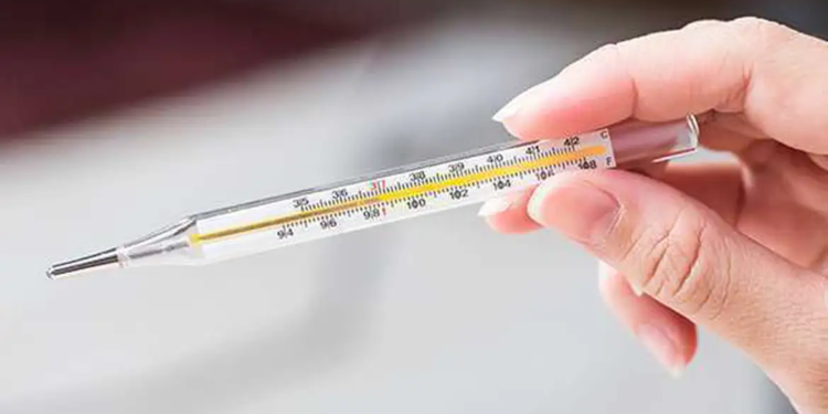 © CRF-SP/Divulgação