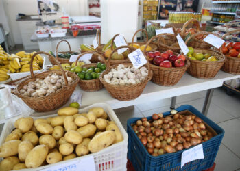 Foto: Geraldo Bubniak/AEN