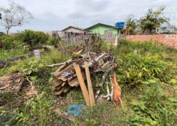 Foto: Polícia Ambiental/ Correio Litoral