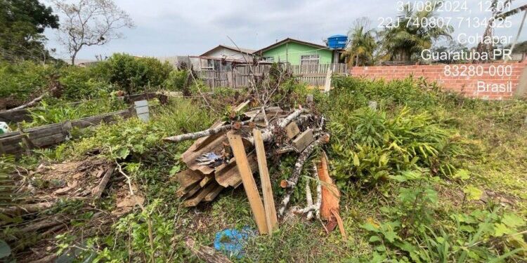 Foto: Polícia Ambiental/ Correio Litoral