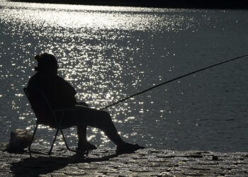 Foto Denis Ferreira NettoSedest-Pr