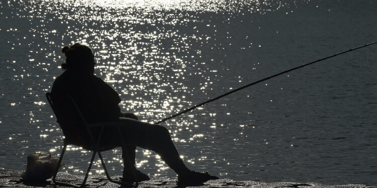 Foto Denis Ferreira NettoSedest-Pr