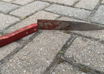 Foto: Portal Mais Notícias