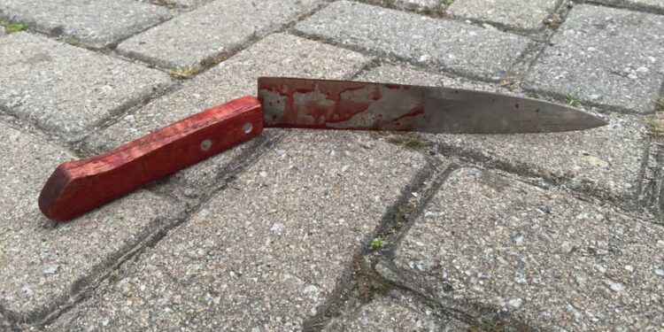 Foto: Portal Mais Notícias