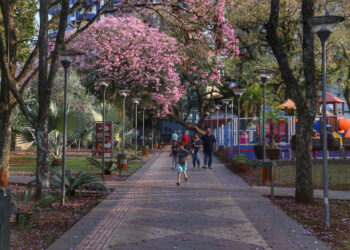 Foto: Jose-Fernando-Ogura-Arquivo-AEN