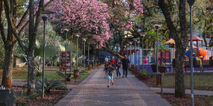 Foto: Jose-Fernando-Ogura-Arquivo-AEN