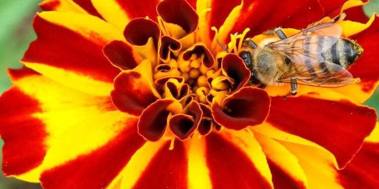 Foto: Claudio Neves/Portos do Paraná