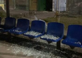 Foto: Divulgação GCM