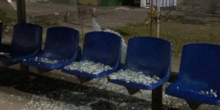 Foto: Divulgação GCM