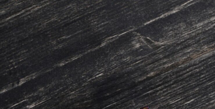 Imagem de Racool_studio no Freepik