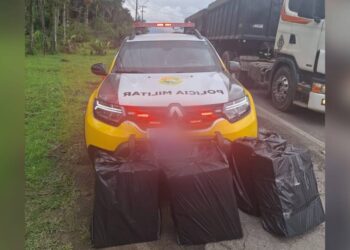 foto portal mais noticias