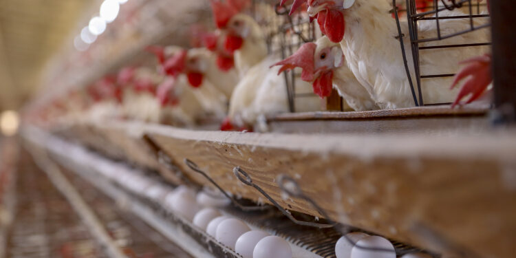 Foto: Gilson Abreu/AEN