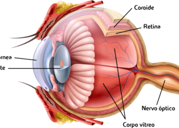 Foto: De olho nos olhinhos