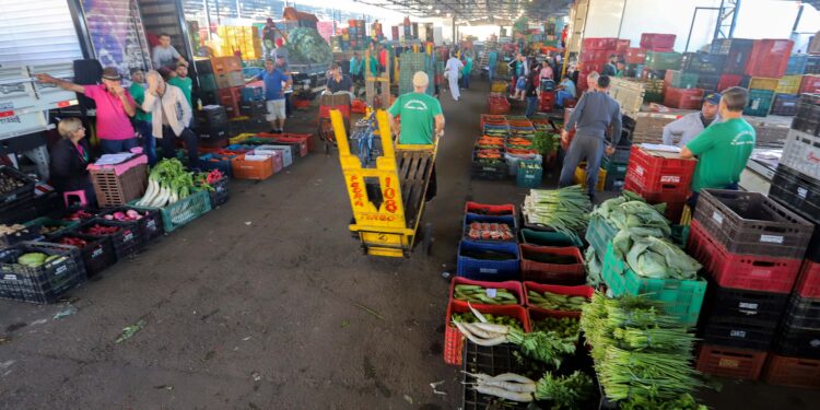 Foto: Roberto Dziura Jr/AEN