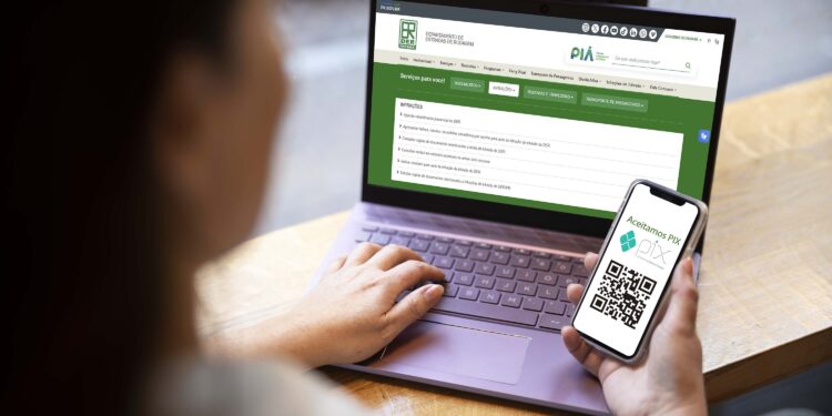 Foto: Walter Martins/Celepar