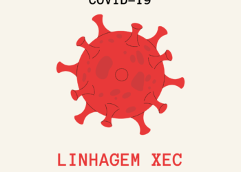 Nova variante do vírus Sars-CoV-2 é identificada em três estados