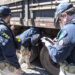 Fiscalização em veículos de carga Foto: PRF