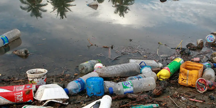 Foto: Martine Perret/ONU