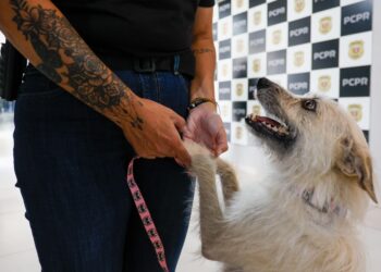 Foto: Gabriel Rosa/AEN