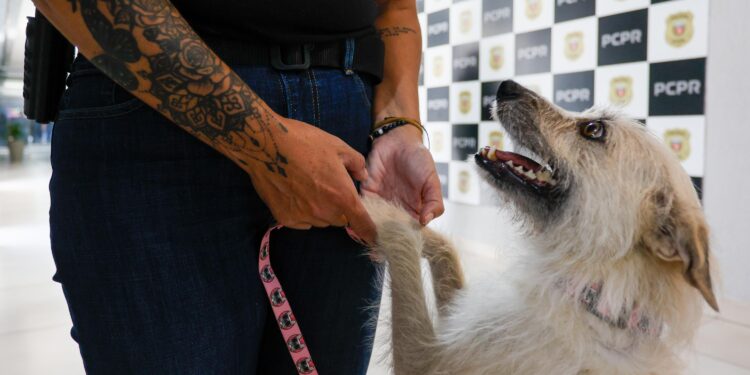 Foto: Gabriel Rosa/AEN