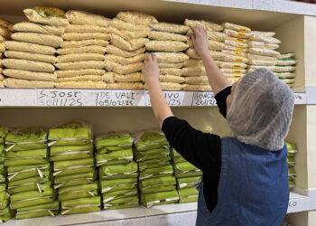 Foto: Karina Audrey/Fundepar