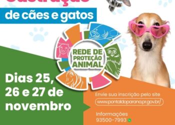 Último dia de inscrições para castração de cães e gatos em Pontal