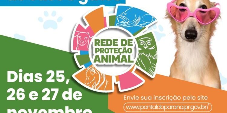 Último dia de inscrições para castração de cães e gatos em Pontal