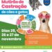 Último dia de inscrições para castração de cães e gatos em Pontal