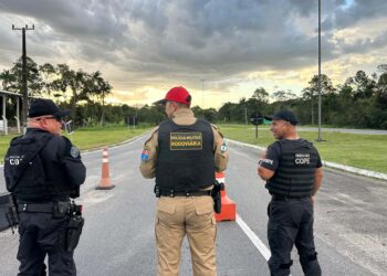 Foto: Adilson Domingues/PCPR