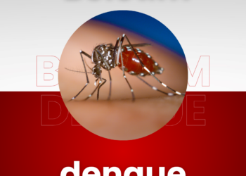 Boletim da Saúde confirma 462 novos casos de dengue no Paraná