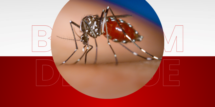Boletim da Saúde confirma 462 novos casos de dengue no Paraná