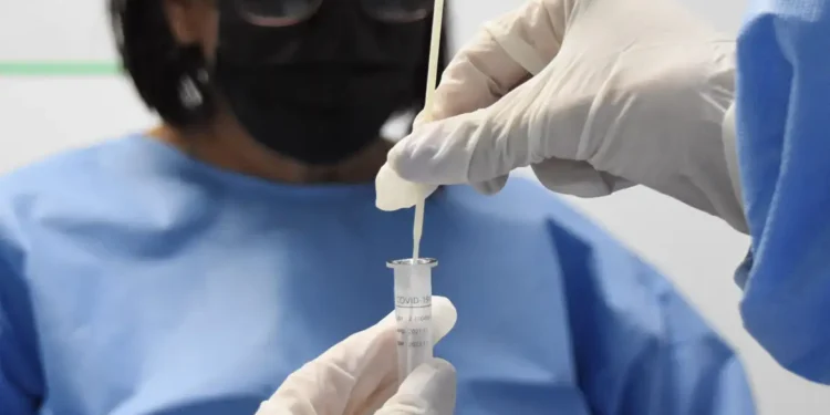 Foto:Tony Winston/Agência Brasília