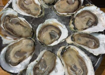 Foto: Alanis Barbosa/SEAB