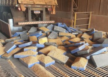 PCPR apreende 7,7 toneladas de maconha em apoio à polícia do Mato Grosso do Sul