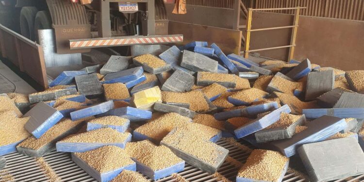 PCPR apreende 7,7 toneladas de maconha em apoio à polícia do Mato Grosso do Sul