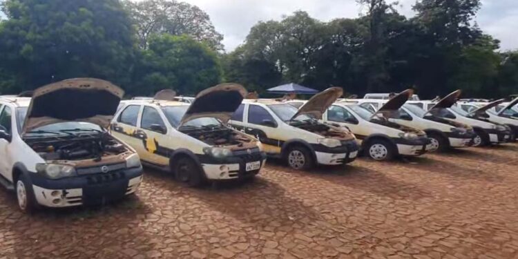 Reta final: lances para leilão de veículos do Estado terminam nesta quarta-feira