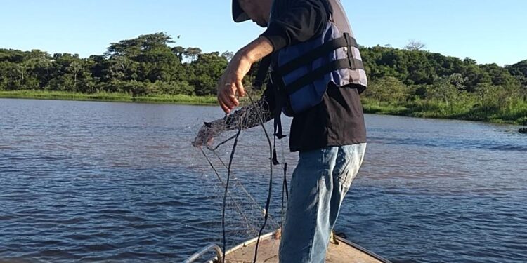 Equipamentos e espécies vetadas: IAT estabelece critérios mais rígidos para pesca em rios