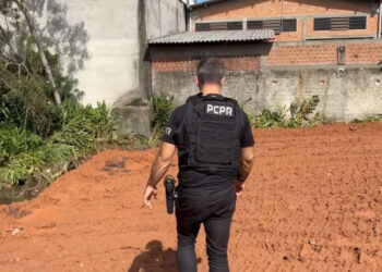 PCPR prende homem por desmatar área de proteção ambiental em Curitiba