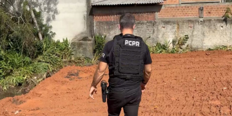 PCPR prende homem por desmatar área de proteção ambiental em Curitiba