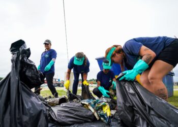 7ª edição da Remada Ambiental: 10/05, em Paranaguá