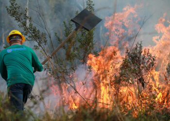 IAT alcança 1.485 voluntários com formação de nova turma de brigadistas