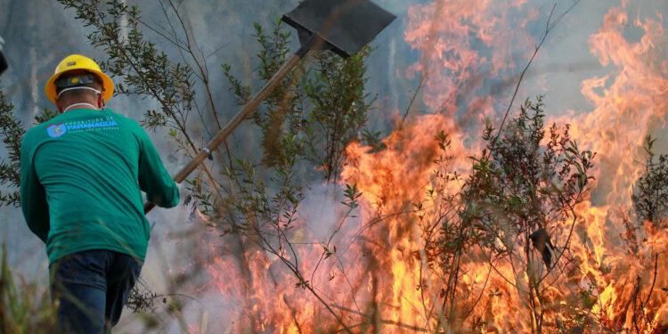 IAT alcança 1.485 voluntários com formação de nova turma de brigadistas