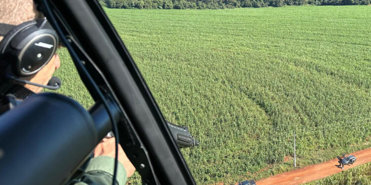 Com uso de helicóptero, Polícia Militar recupera caminhão roubado no Oeste do Estado