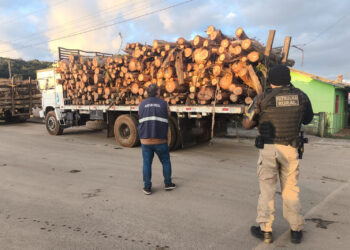 Receita Estadual reforça fiscalização e recupera meio milhão em impostos sonegados