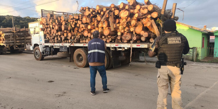 Receita Estadual reforça fiscalização e recupera meio milhão em impostos sonegados