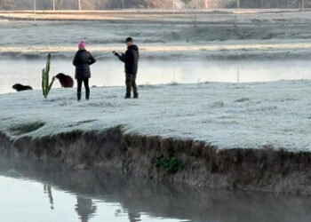 Com -7,8°C, quarta-feira teve menor temperatura do ano no Paraná e geada na Capital