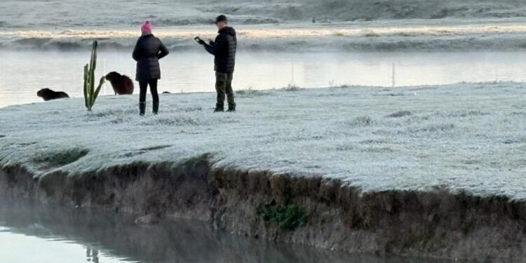 Com -7,8°C, quarta-feira teve menor temperatura do ano no Paraná e geada na Capital
