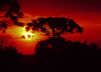 Julho foi seco e gelado, com temperaturas abaixo da média histórica, aponta Simepar